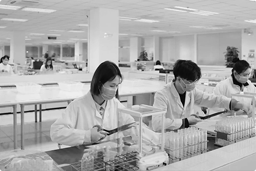 成立以纯质量检测中心，
现已成为国内服装行业检测典范。